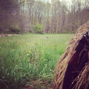 The view from the field