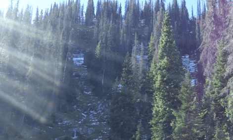 Screen Shot 2017-11-06 at 8.59.53 PM